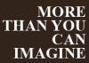 More Than You Can Imagine